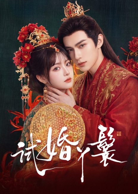 مشاهدة مسلسل خادمة المحاكمة The Trial Handmaiden الحلقة 15 والاخيرة مترجمة