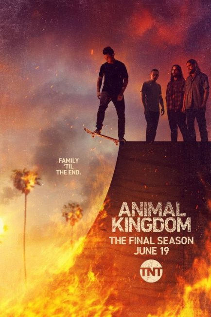 مشاهدة مسلسل Animal Kingdom الموسم السادس الحلقة 2 مترجمة