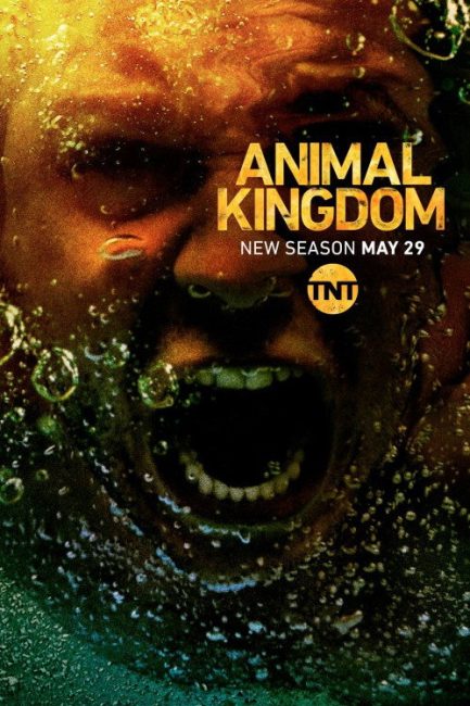 مشاهدة مسلسل Animal Kingdom الموسم الثالث الحلقة 6 مترجمة