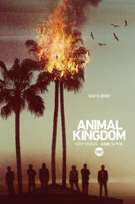 مشاهدة مسلسل Animal Kingdom الموسم الاول الحلقة 9 مترجمة