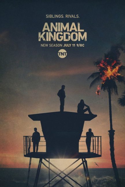 مشاهدة مسلسل Animal Kingdom الموسم الخامس الحلقة 11 مترجمة