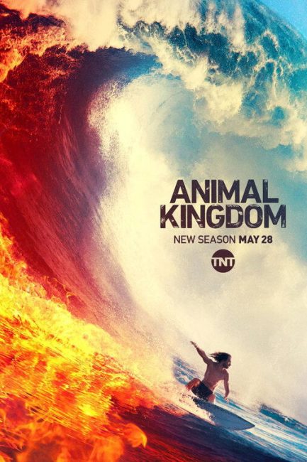 مشاهدة مسلسل Animal Kingdom الموسم الرابع الحلقة 5 مترجمة