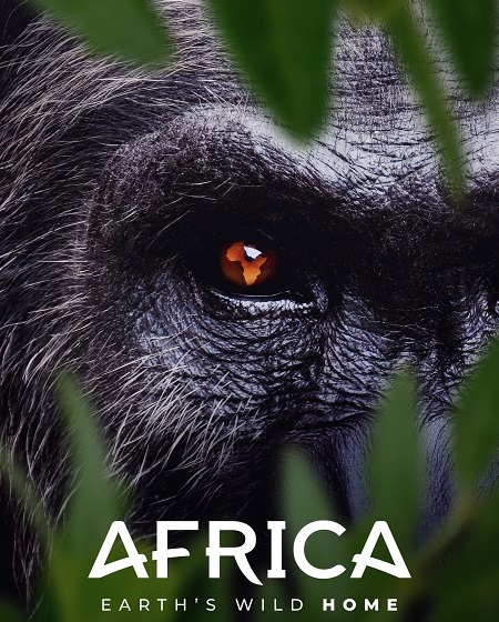مشاهدة مسلسل Africa Earth’s Wild Home الحلقة 6 مترجمة